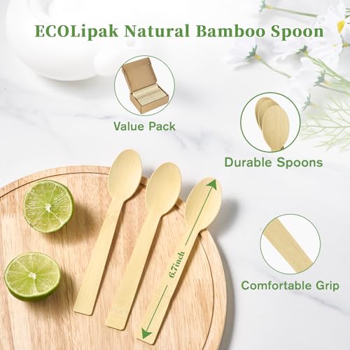 300 Count Disposable Compostable Bamboo Spoons for Party (spoons)