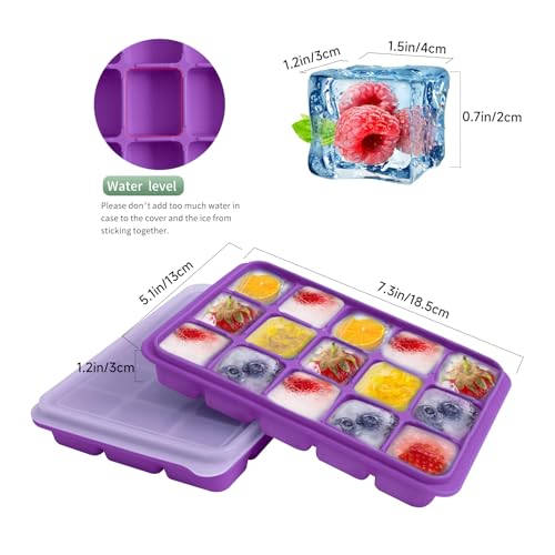 Ice Cube Trays Set of 2 (Purple)