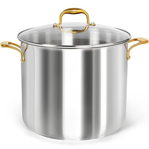 Stainless Steel Stock Pot (20 Quarts)