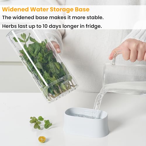 Herb Keeper for Refrigerator (2 PACK)