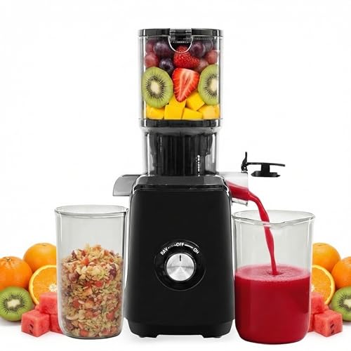Cold Press Juicer (Black / 200W)