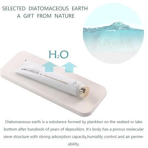 2Pcs Stone Soap Trays Water Absorbing Diatomite Coaster (White / 9.0" x 3.5")