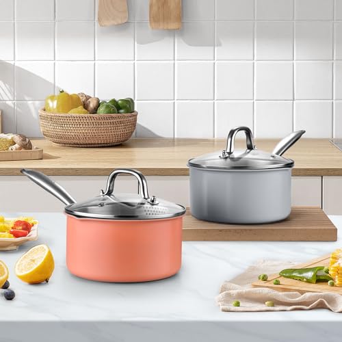 3.0 Quart Stainless Steel Pot Saucepan with Glass Strainer Lid