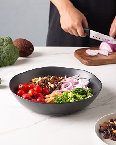 9.75'' Ceramic Large Pasta Bowls (Matte Black / Set of 4)