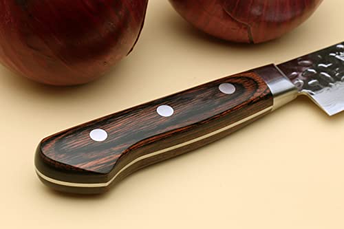 VG10 16 Layer Hammered Damascus Stainless Steel Sujihiki Slicer Chefs Knife (9.5" / Mahogany Handle)