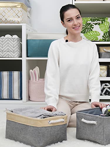 Storage Basket for Organizing (Gold&Grey / 2PCS/Large - 15.7Lx11.8Wx8.3H)