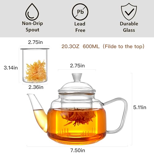 Glass Teapot with Removable Infuser (20oz(600ml))