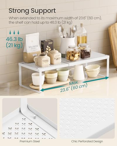 Spice Rack Expandable Kitchen Countertop Shelf (Matte White / Set of 4)