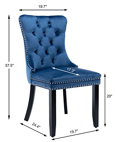 Blue Velvet Dining Chairs Set of 2 (Blue)