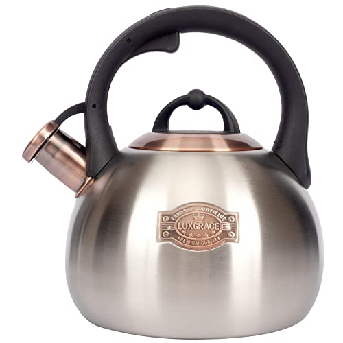 3.1 Quart Teal Whistling Tea Kettle for Stove Top (Silver)