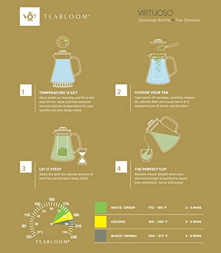 2-in-1 Tea Kettle and Tea Steeper - Glass Teapot with Thermometer and Stainless Steel Loose leaf Tea Infuser, No Whistle Kettles, Virtuoso 34-Ounce Tea Maker