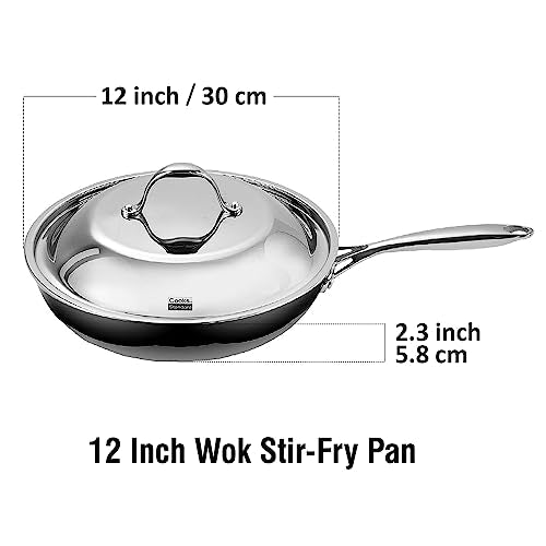 Multi Ply Clad Stainless Steel 12" Frying Pan with Dome Lid (Silver / 12" with Lid)