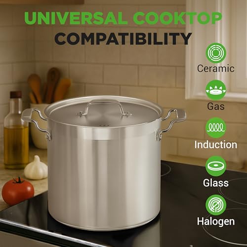 Stainless Steel Stock Pot with Lid (Stainless Steel / 24 Quarts)