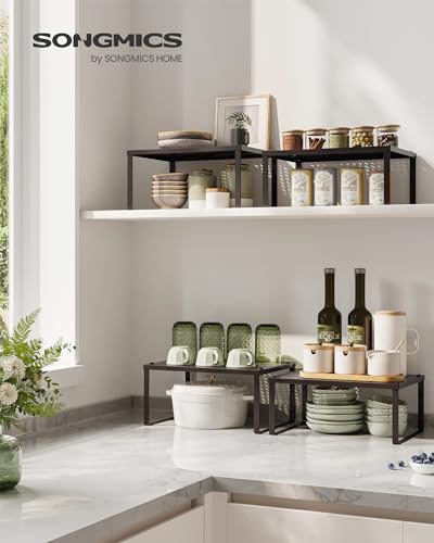 Set of 2 Metal Spice Racks (Brown / 2 Tiers (9"D x 12.6"W))