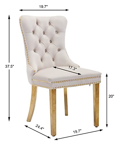 Beige and Gold Velvet Dining Chairs Set of 6 (Classic Beige)