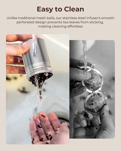 2 Pack Reinmoson Large Tea Infuser for Loose Tea & Spice Ball for Cooking (Large)