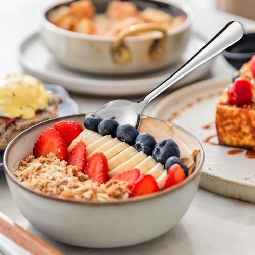 Windsor 60 Pcs Stainless Steel Dinner Spoons (60-piece Dinner Spoon)