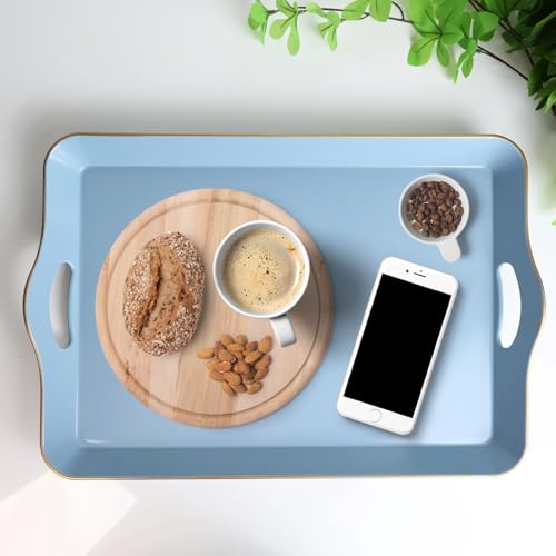 Light Blue Decorative Tray (Light Blue)
