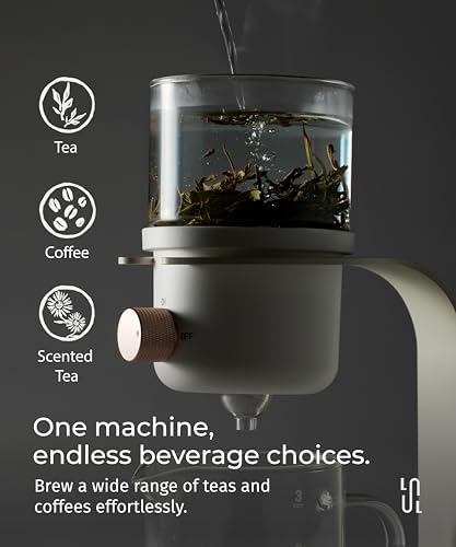 Glass Tea Pot with Infusers for Loose Tea and Drip Coffee Pour Over (Black)