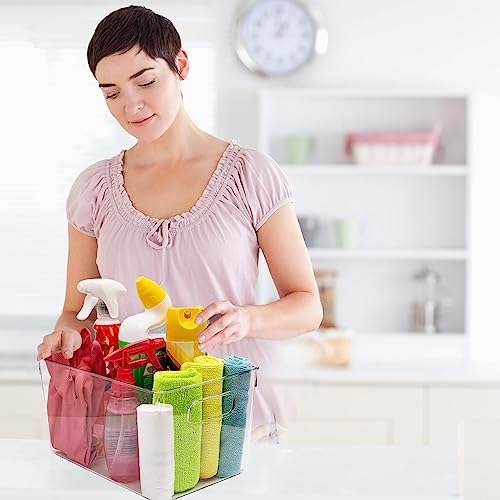 Clear Plastic Storage Bins (11 X 7.5 X 6)