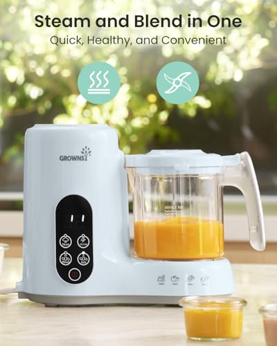 Baby Food Maker