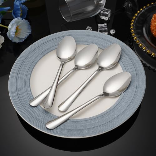Windsor 60 Piece Set Stainless Steel Teaspoons (60-piece Tea Spoon)