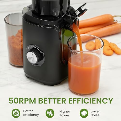 Cold Press Juicer (Black / 200W)