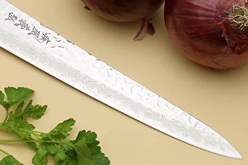 VG10 16 Layer Hammered Damascus Stainless Steel Sujihiki Slicer Chefs Knife (9.5" / Mahogany Handle)
