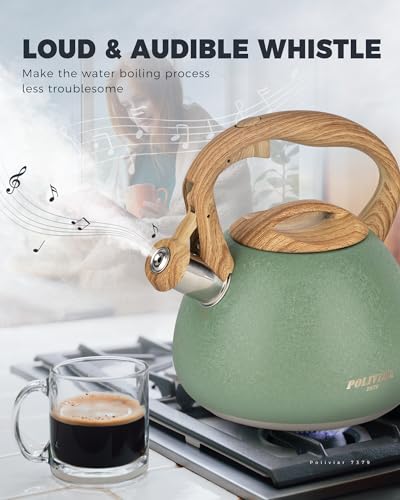 POLIVIAR Tea Kettle (2.7 Quarts / Crackle-Green)