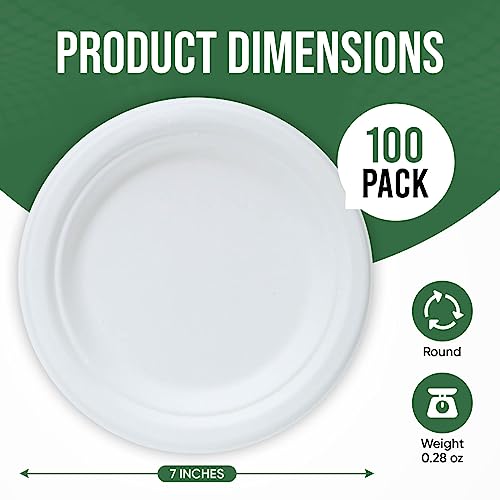 7 Inch Paper Plate 100 Pack White Disposable (White / 7 IN)