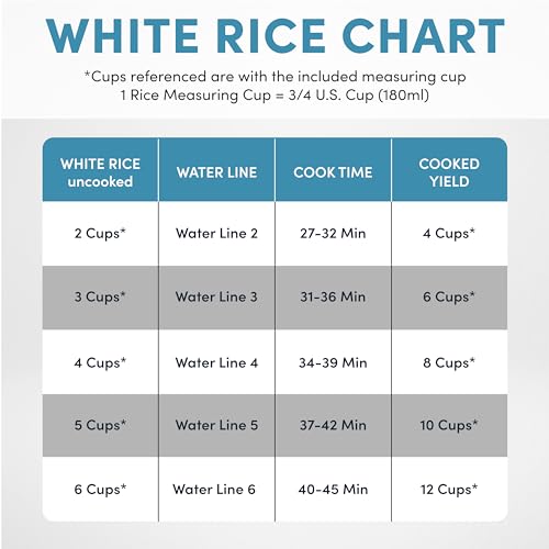 Professional Rice Cooker with Purple Clay Cooking Pot