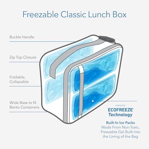 Freezable Classic Lunch Box