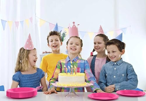 Party Solids Sturdy Hot Pink Plastic Plates 9" Party Plates 100 Pcs (9 inch / Cerise)