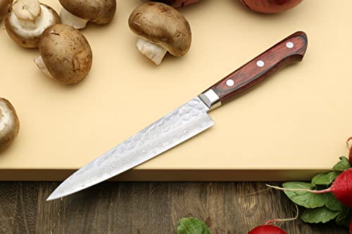 VG10 16 Layer Hammered Damascus Stainless Steel Petty Utility Knife (Petty 5.3'' (135mm) / Mahogany Handle)