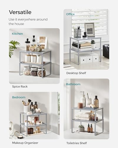 Set of 2 Metal Spice Racks (Silver / 2 Tiers (9"D x 12.6"W))