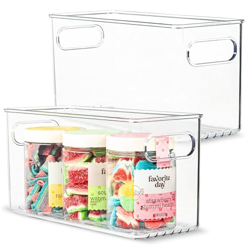 Plastic Food Storage 2 Pack Clear Container Bin with Handles for Organizing Kitchen (2 Count)