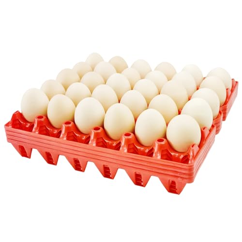 4 Pack Plastic Egg Tray Egg Crates 30 (4 Count)