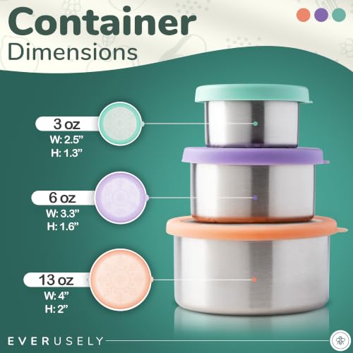Stainless Steel Snack Containers (Semi-Clear)