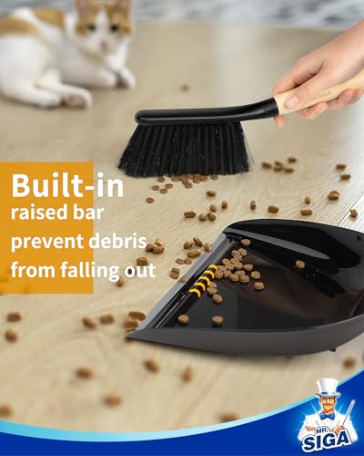 Dustpan and Brush Set