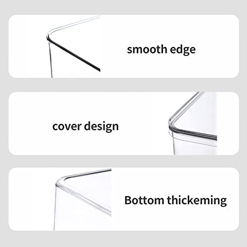 Clear Storage Bins With Lids (4S)