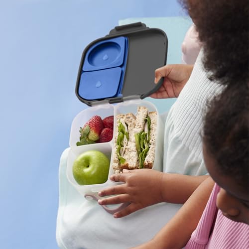 Mini Lunch Box