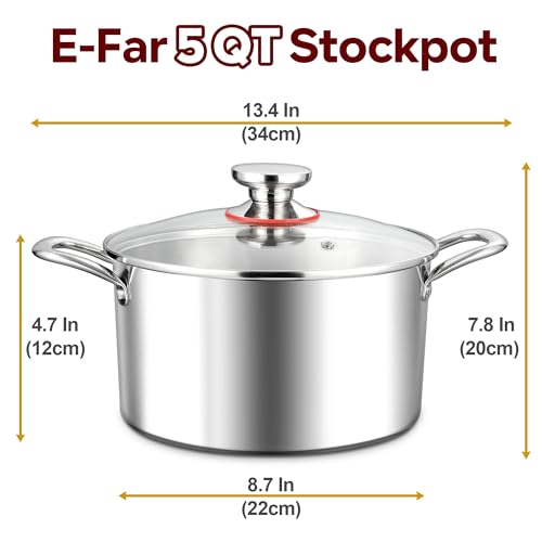 5 Quart Stock Pot with Lid