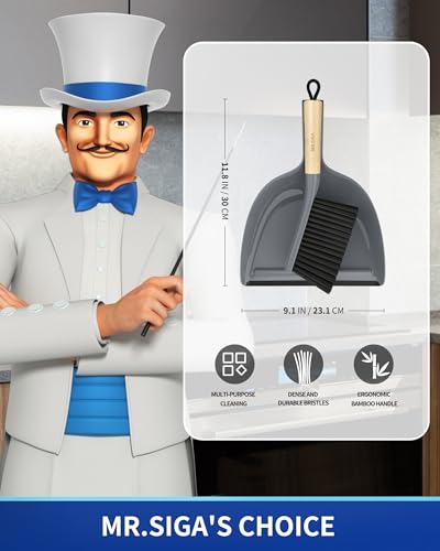 Dustpan and Brush Set
