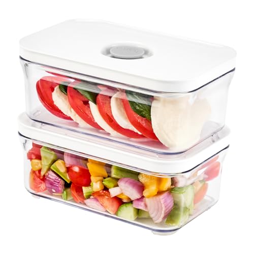 Premium Airtight Food Storage Containers (MINI RECTANGULAR 0.5LX2PCS)