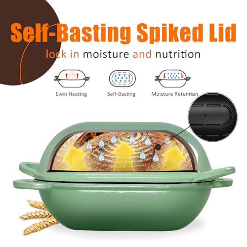 5 QT Enameled Cast Iron Sourdough Bread Oven (Fig Green / 5 QT)