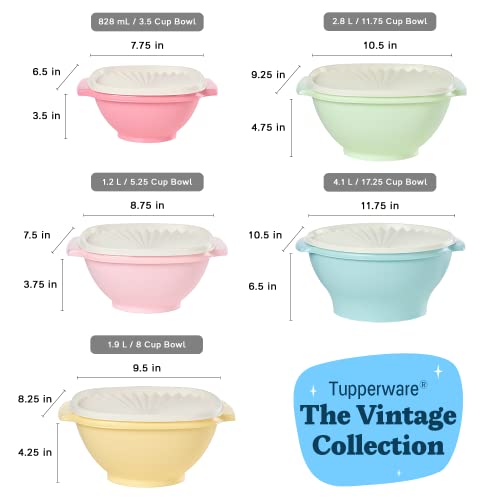 Heritage 10 Piece Vintage Food Storage Set (10 Piece Set - Classic Multicolor)