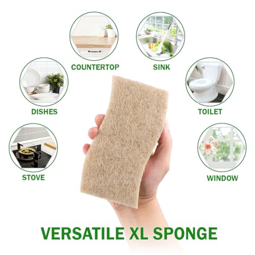 XL Sponges Kitchen (12 Count)