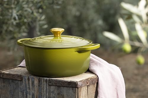 Enameled Cast Iron Round Dutch Oven (Olive / 5.5 Qt)
