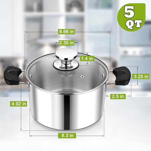 5 Qt Pot with Lid (5 Quarts)