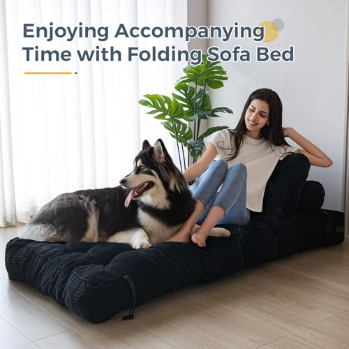 Folding Sofa Bed (Black / Single)